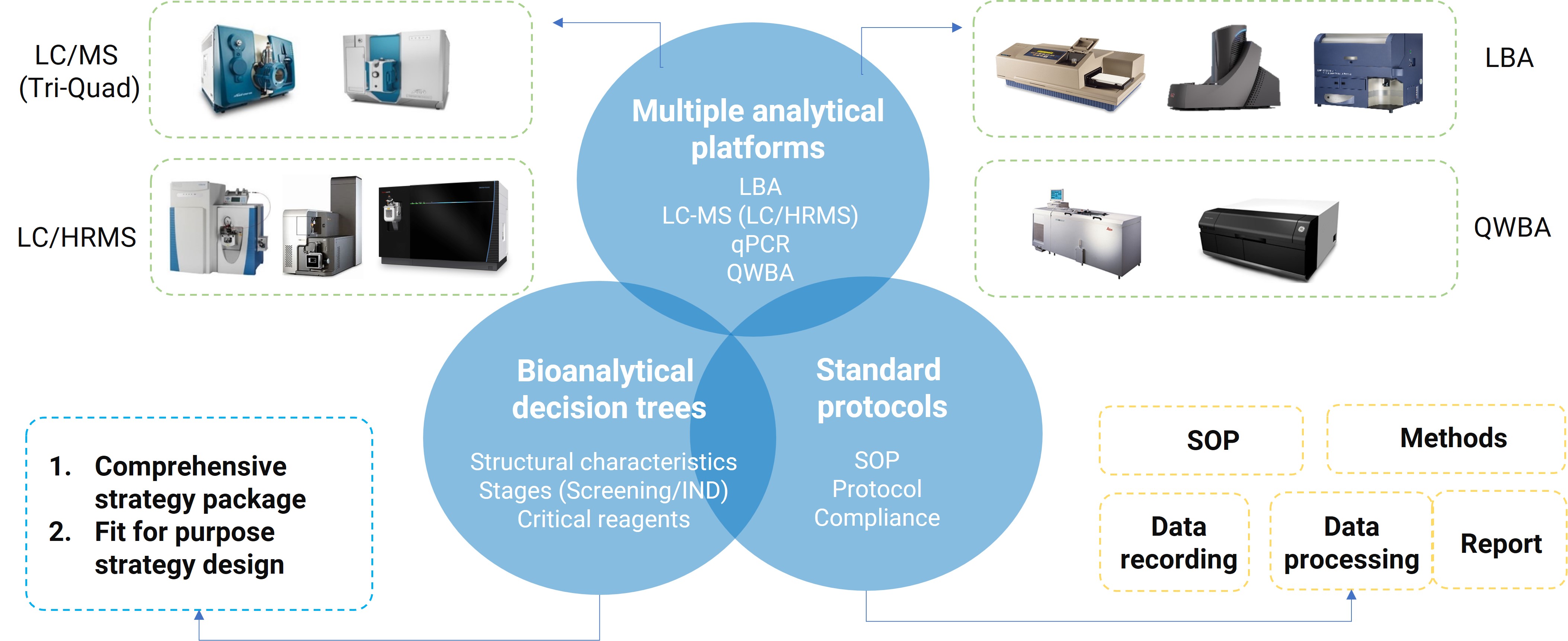 A comprehensive DMPK bioanalytical platform