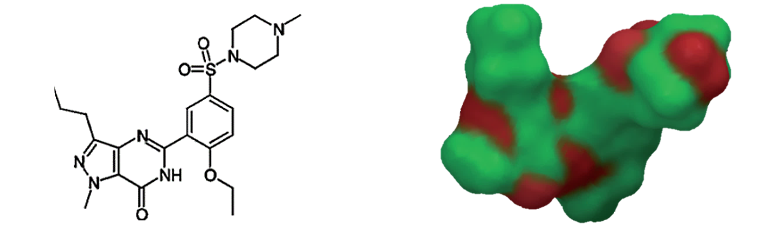 Sildenafil (left) and its van der Waals surface highlighting red polar regions (right)