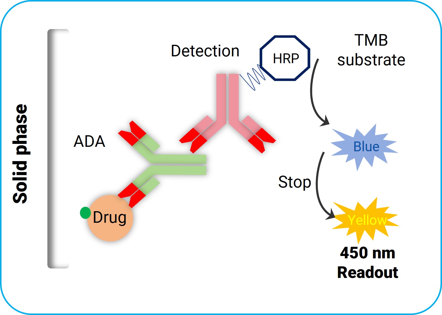 ELISA direct method