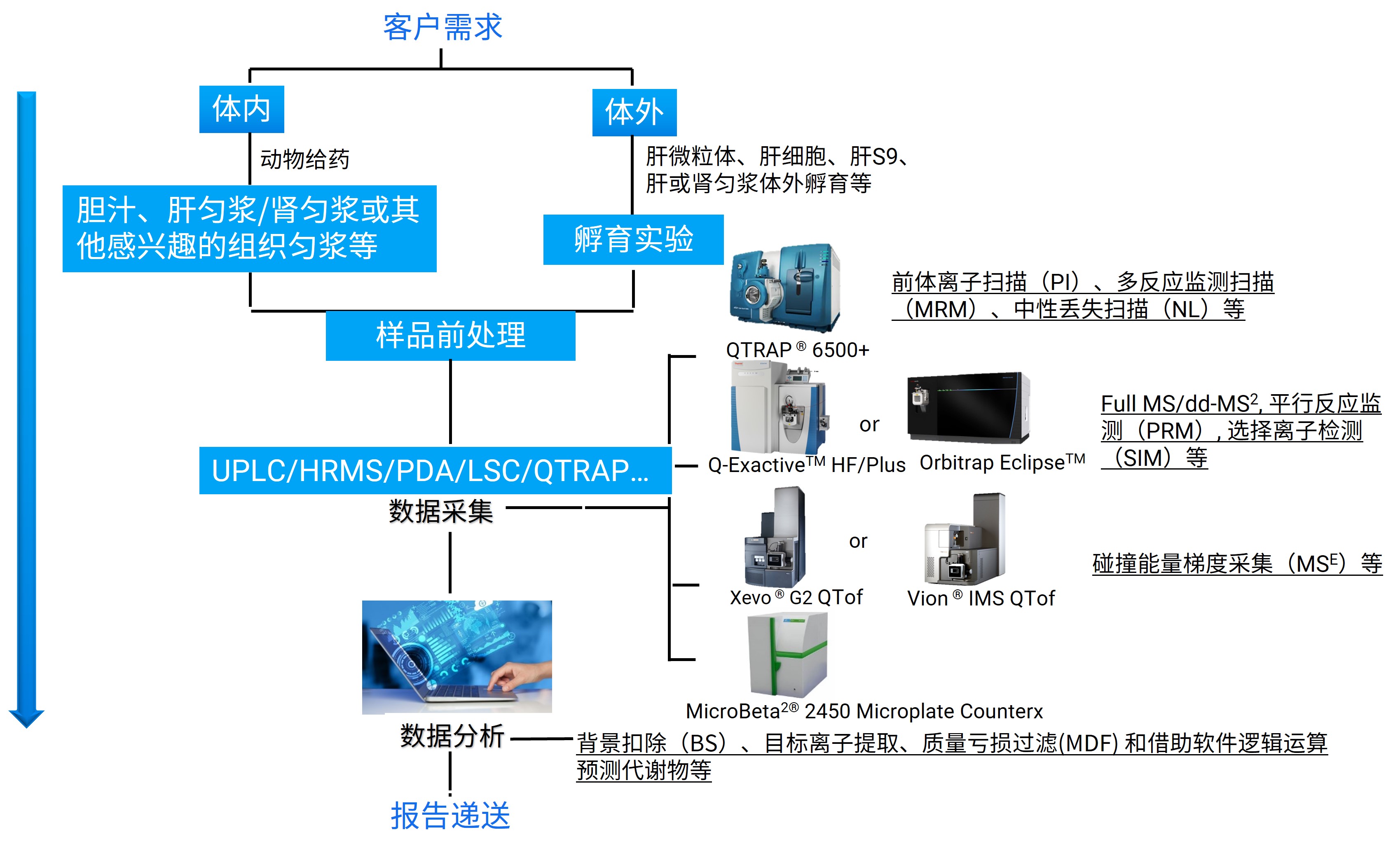反应性代谢物检测鉴定工作流程图