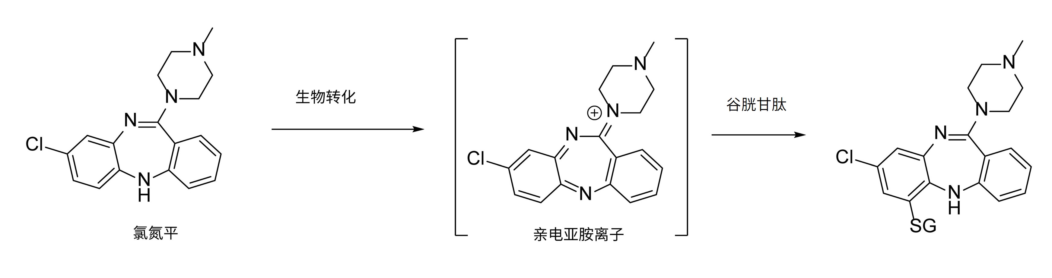 氯氮平代谢活化途径