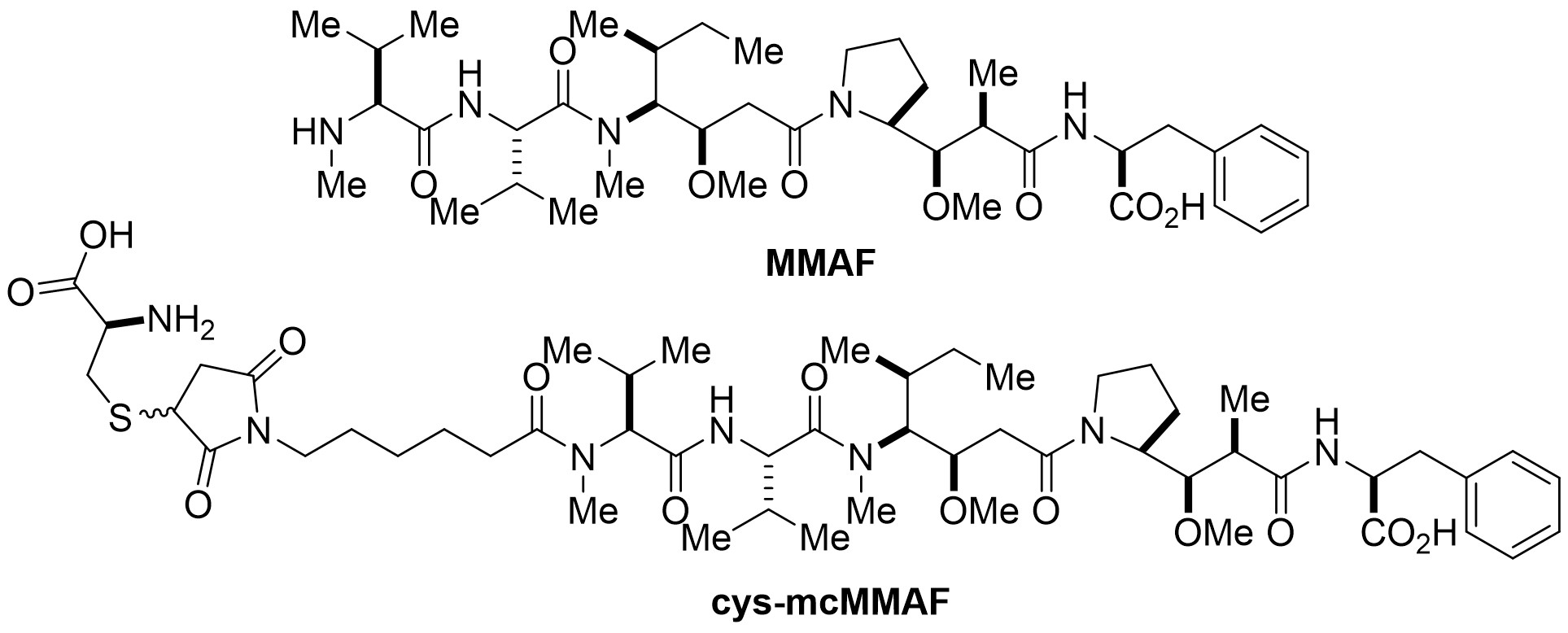 Structures of MMAF and Cys-mcMMAF