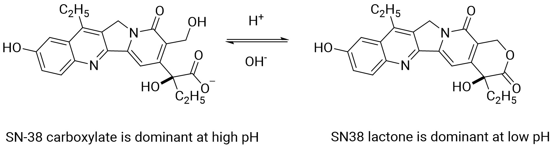 pH-mediated Interconversion of SN-38 Lactone and Ring-Opening Forms