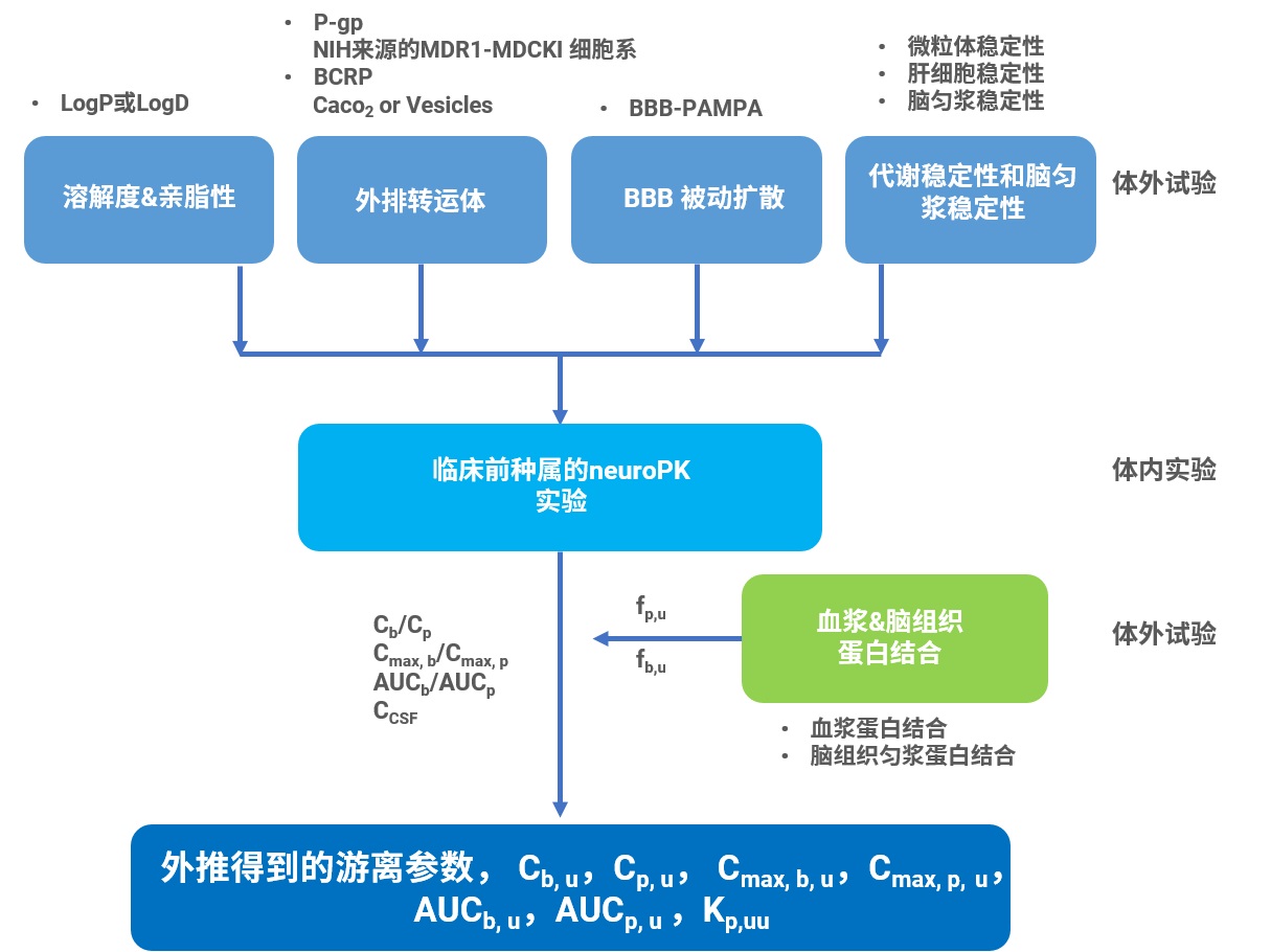 CNS化合物的评价策略