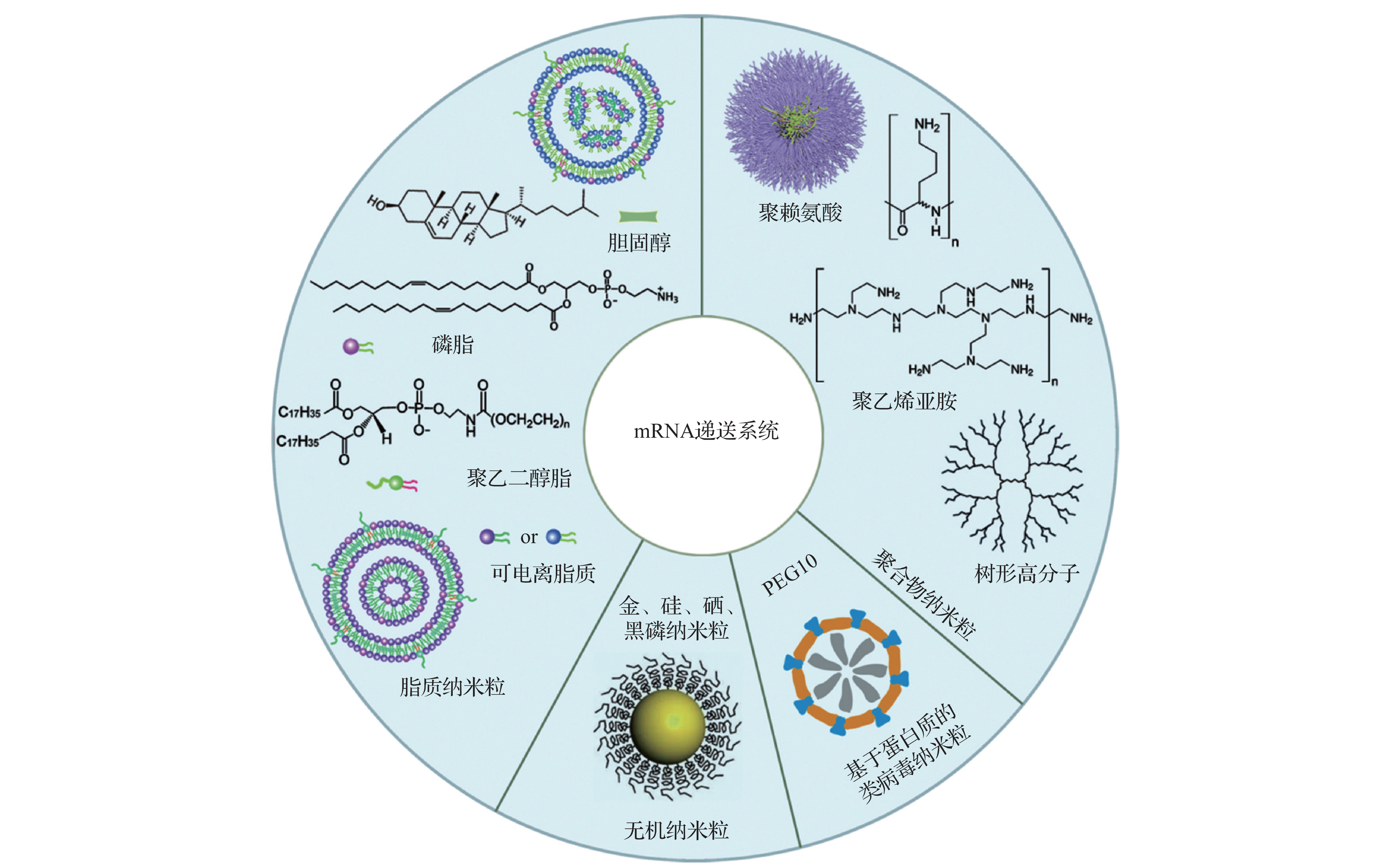 具有代表性的mRNA递送系统示意图