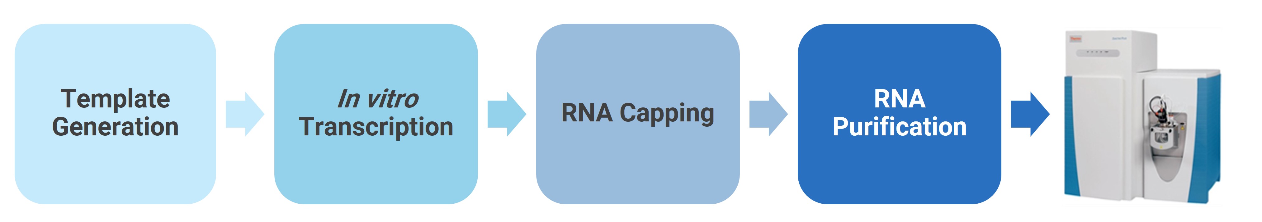 mRNA sample preparation and analysis protocols at WuXi AppTec DMPK