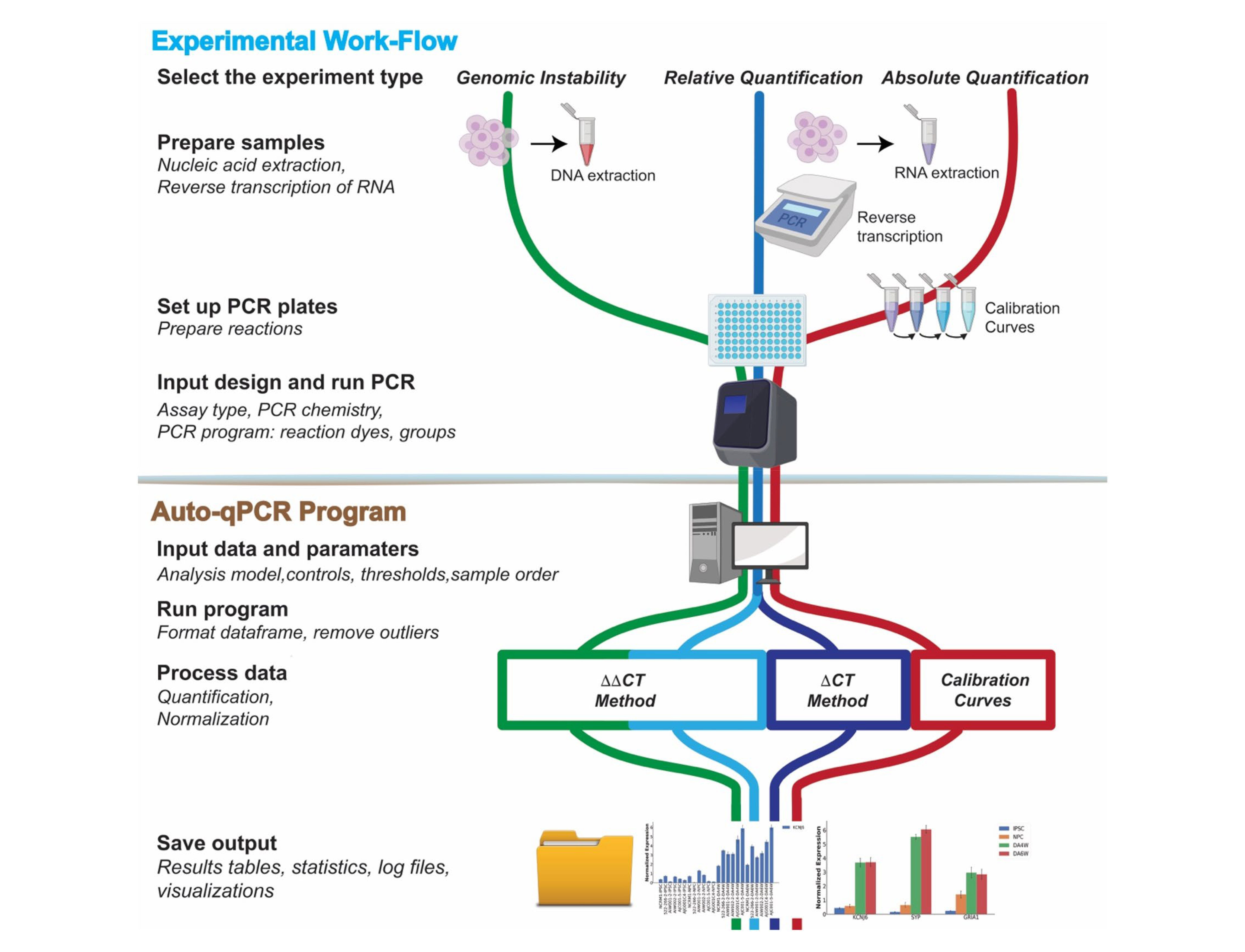 RT-qPCR workflow