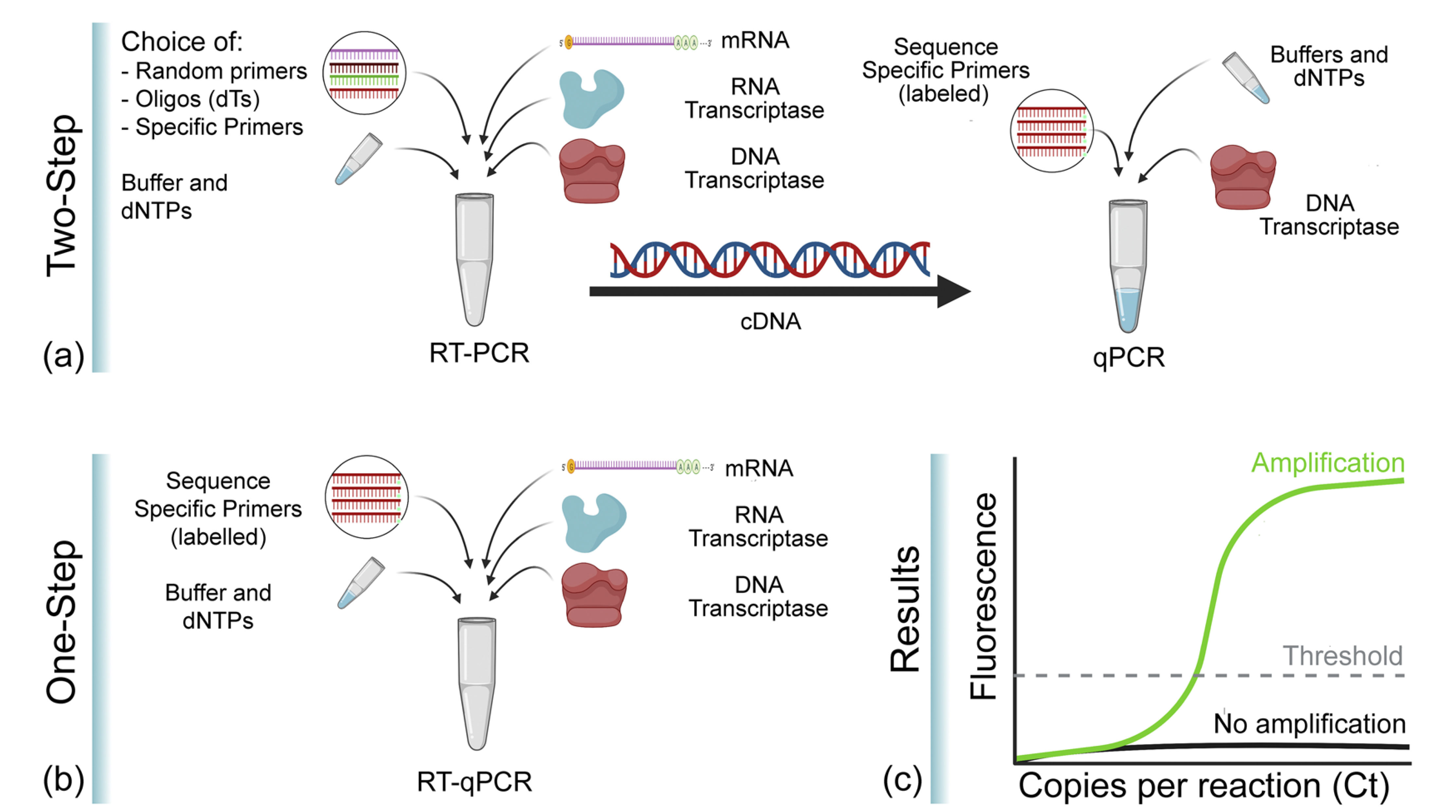 Comparison of RT-qPCR one-step and two-step procedure