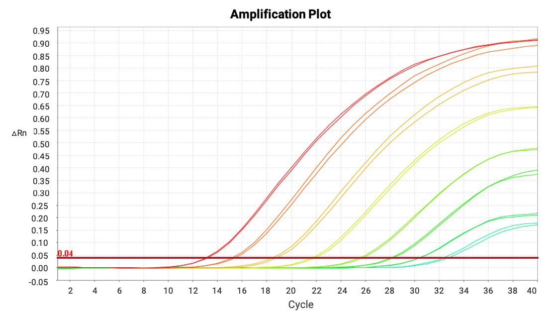Amplification curves of mRNA in mouse lung homogenate samples