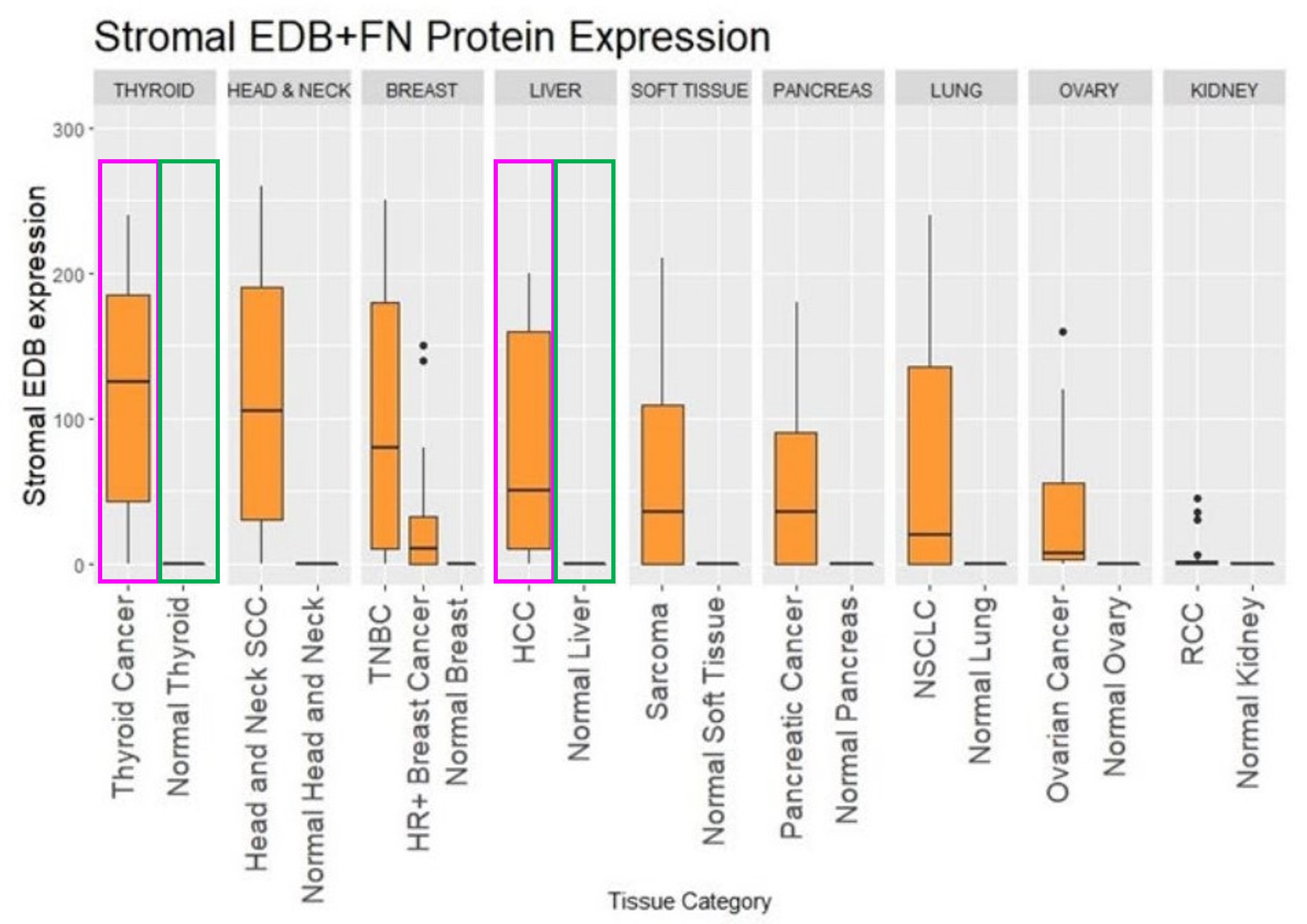 Differences in the expression of EDB+FN protein in tumor stroma and normal tissues