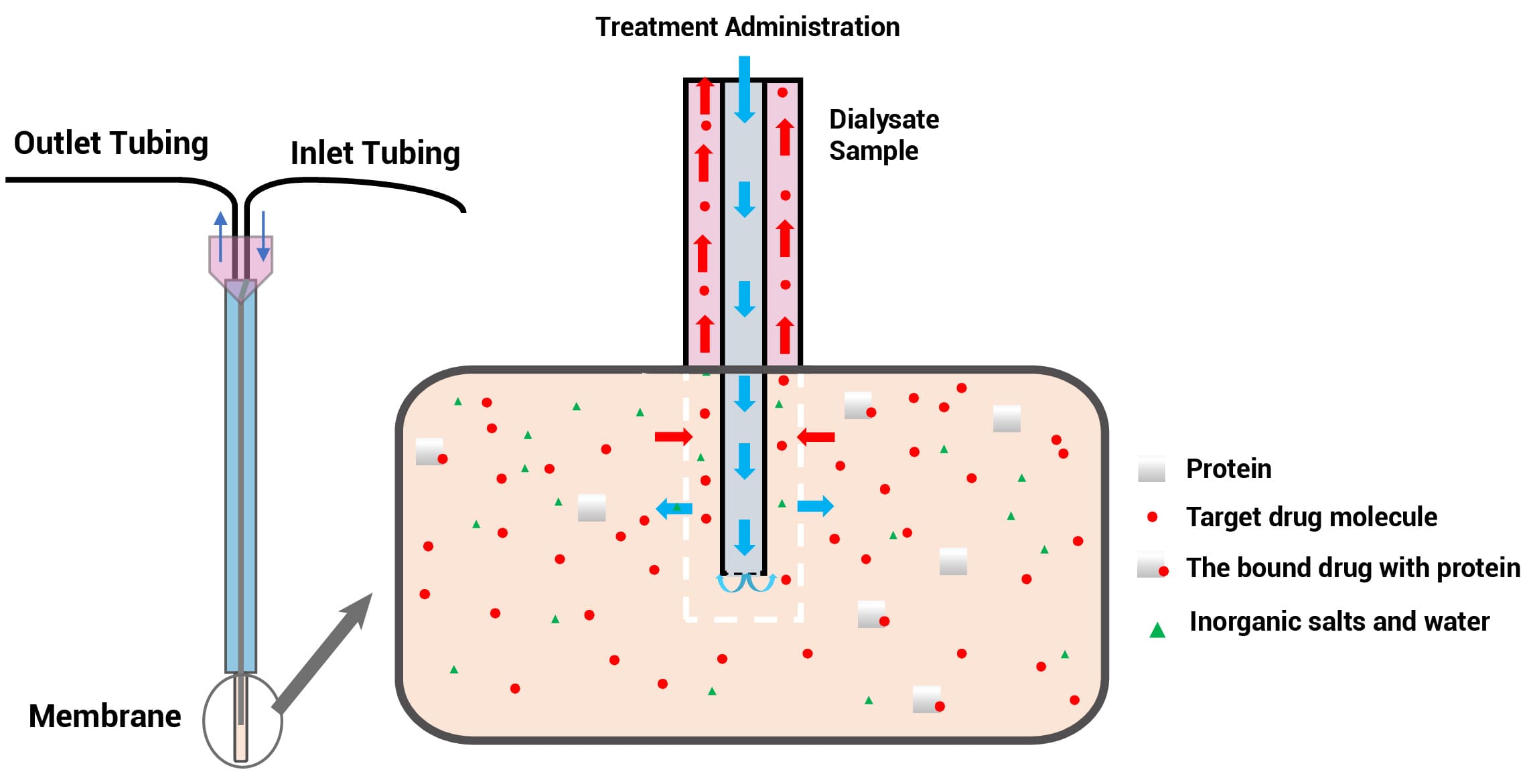 Schematic of the brain microdialysis principle