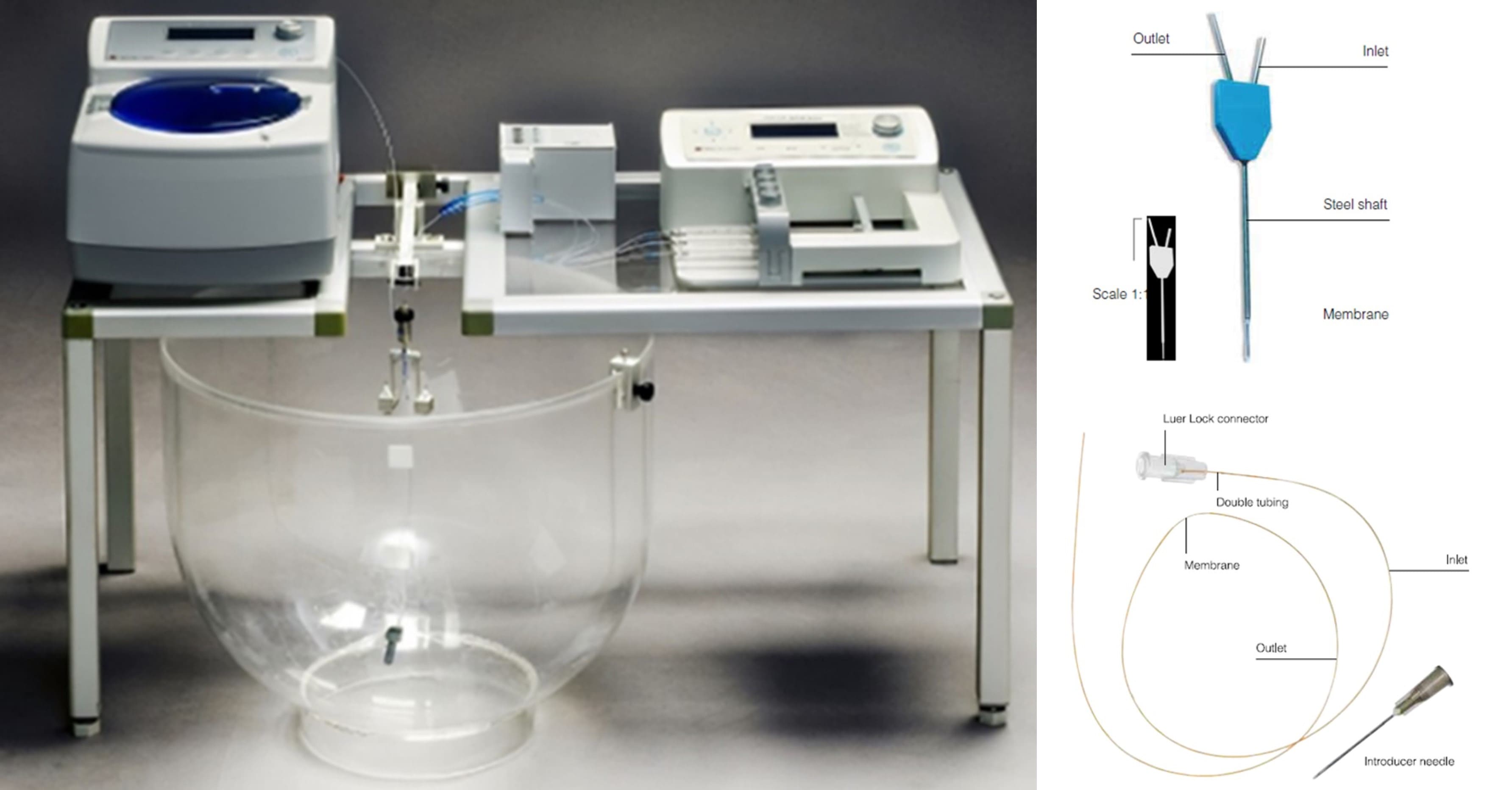 Schematic diagram of the microdialysis device and Probe