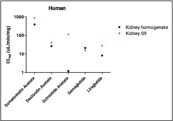 Clearance rates of five peptides in the human kidney system