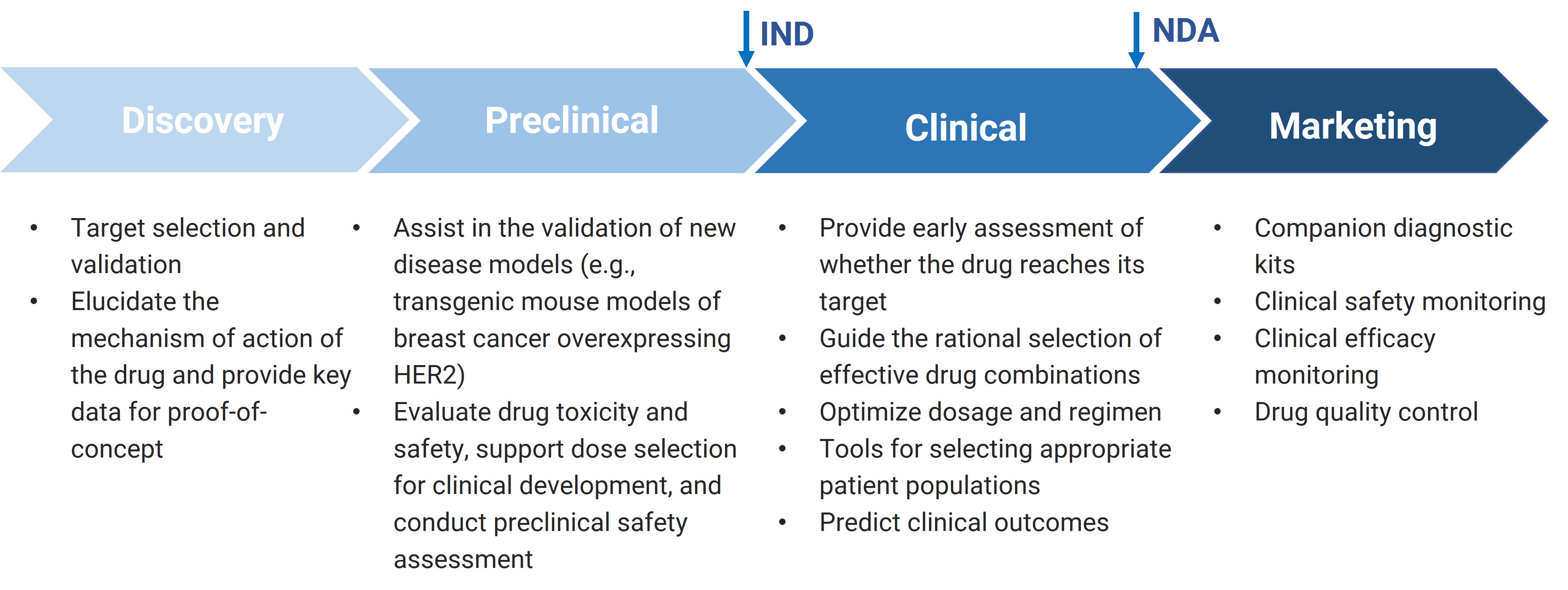 The key role of biomarkers in various stages of new drug development