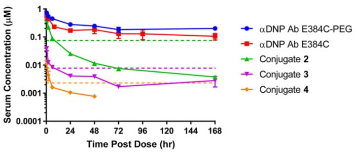 Pharmacokinetic curves for total antibody after IV administration of 5 mg/kg different conjugates and naked antibody in CD-1 mice
