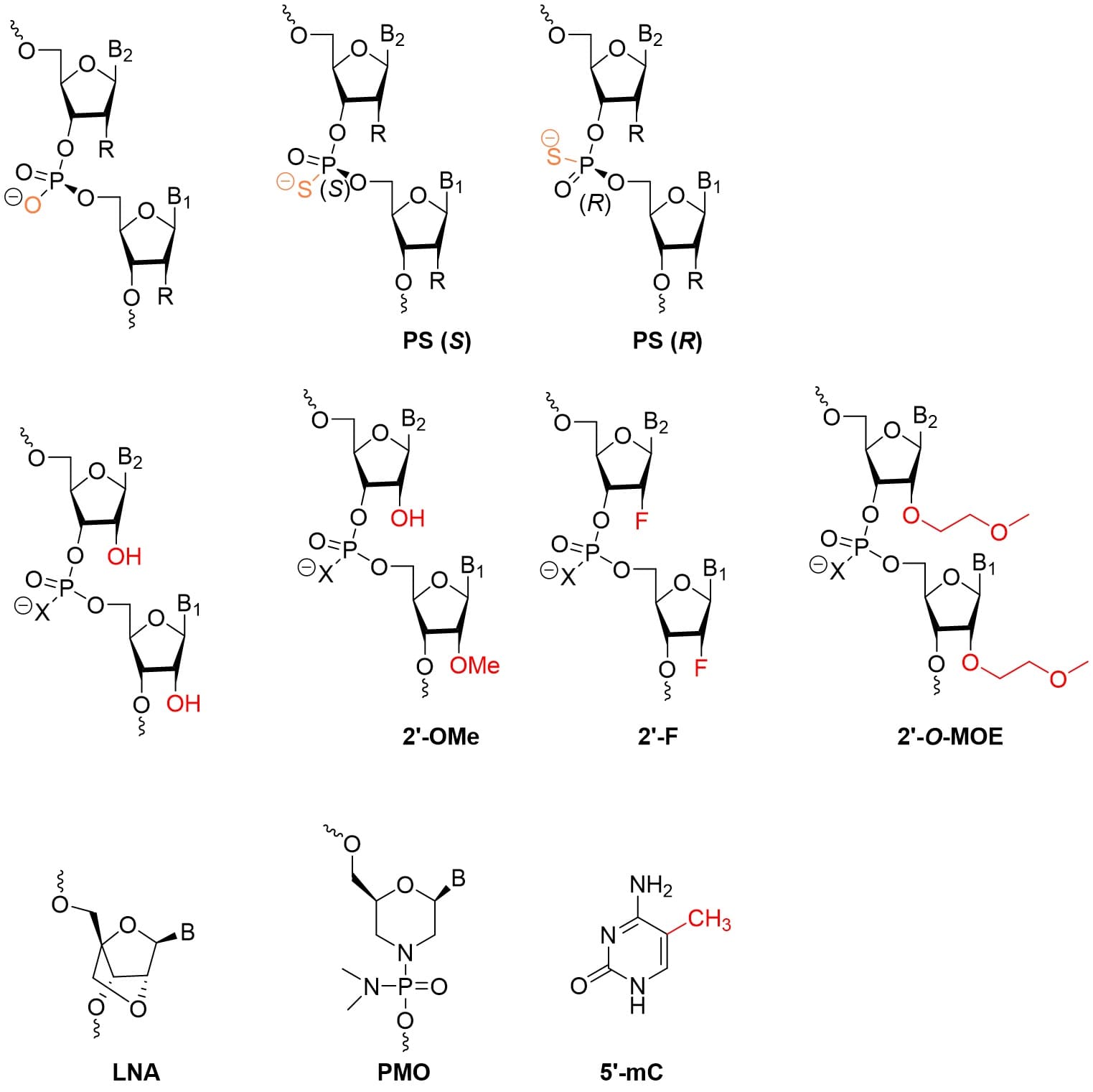 Common chemical modification strategies for oligonucleotides