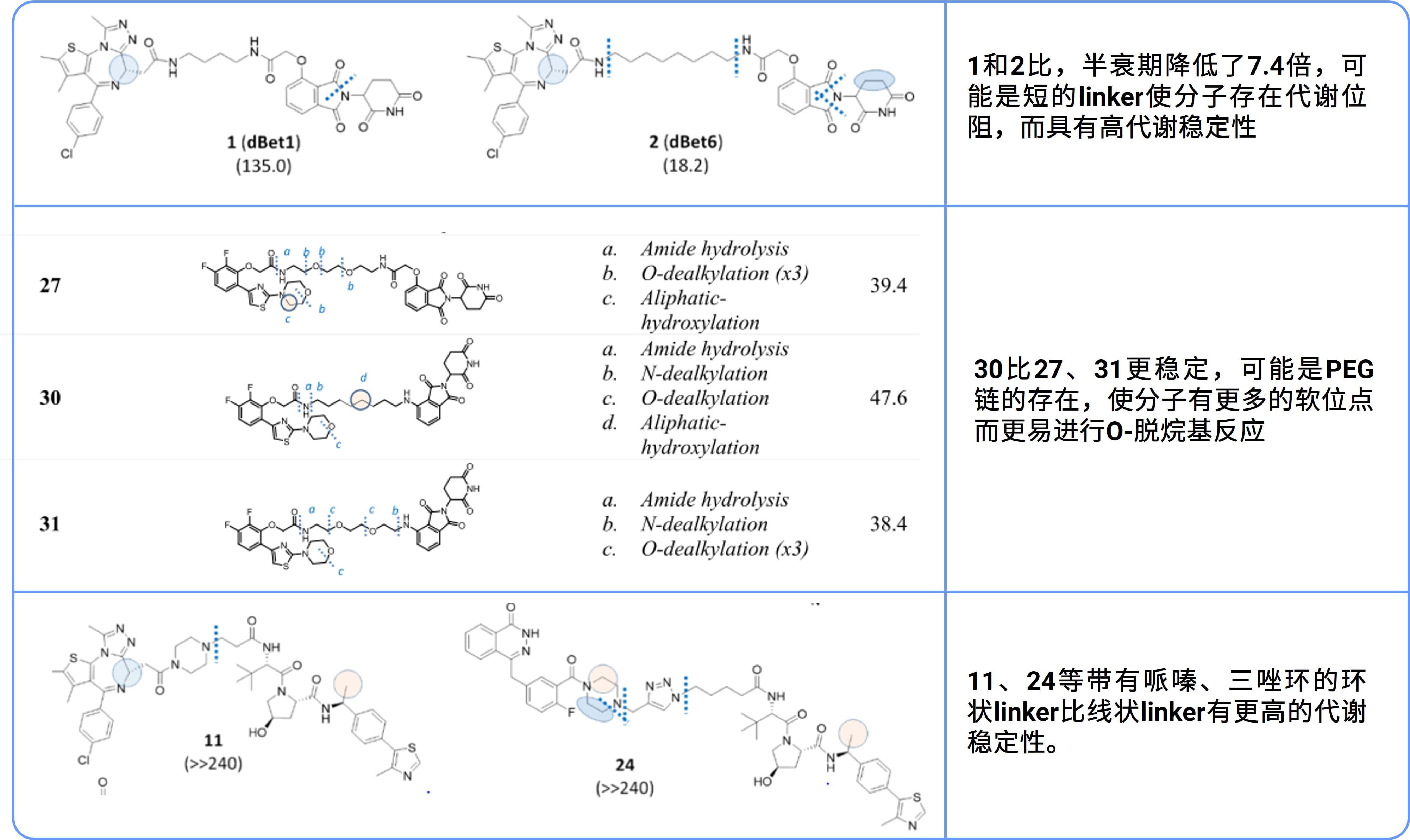 比较PROTAC分子及其组成配体的代谢软点和代谢速率，发现的稳定性规律