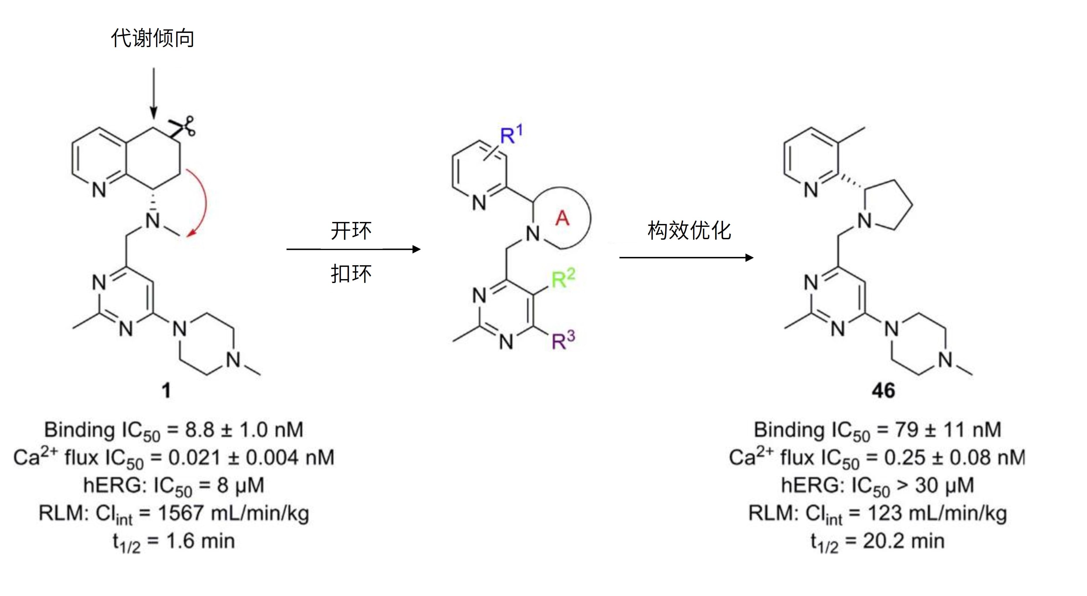 开环”和“扣环”设计
