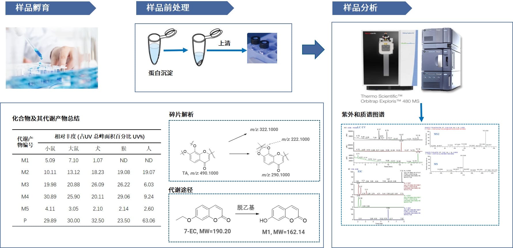 高通量代谢软点鉴定实验流程