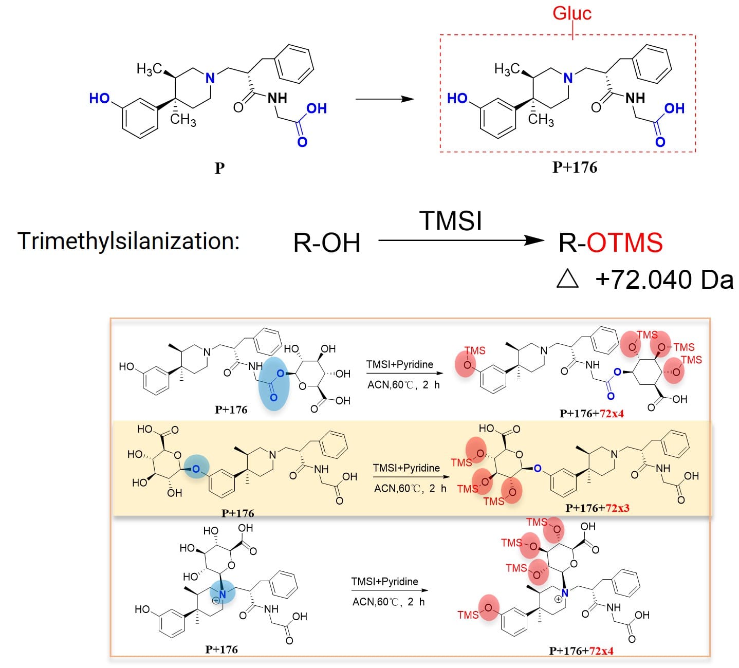 Determining glucuronic acid conjugation site via trimethylsilylation reaction (determining whether at phenolic hydroxyl site) Determining glucuronic acid conjugation site via trimethylsilylation reaction (determining whether at phenolic hydroxyl site)