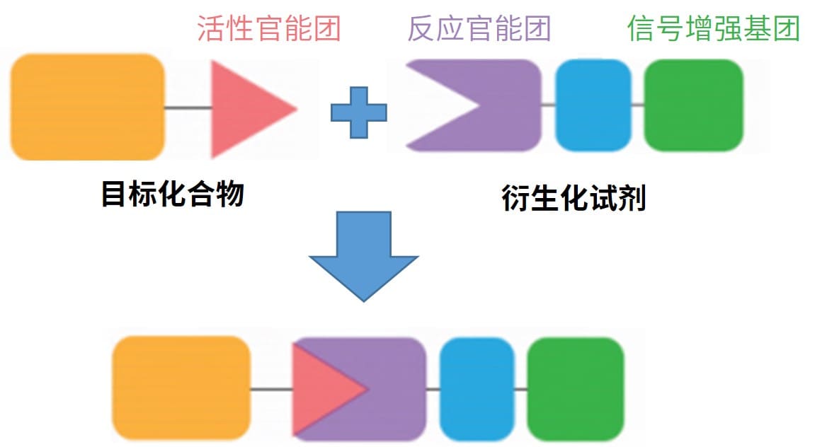 化学衍生化方法的原理