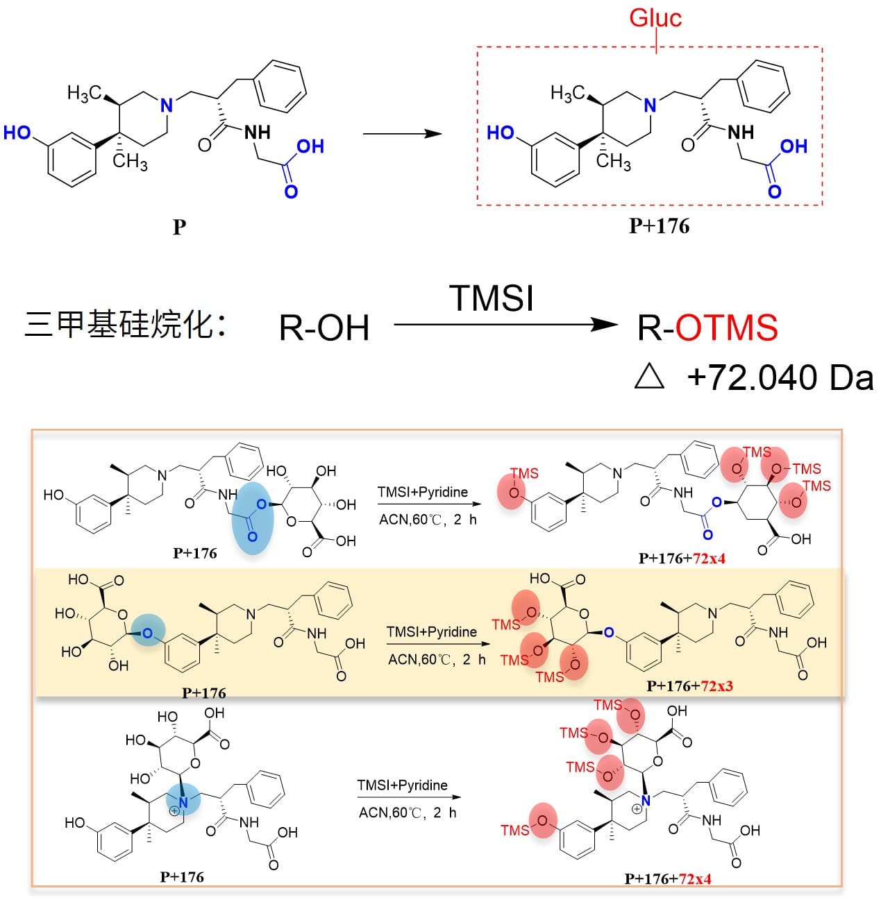 通过三甲基硅烷化反应判断葡萄糖醛酸结合位点（判断是否在酚羟基位）