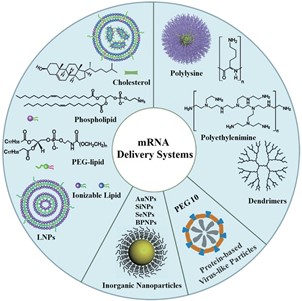 Schematic diagram of representative mRNA delivery systems