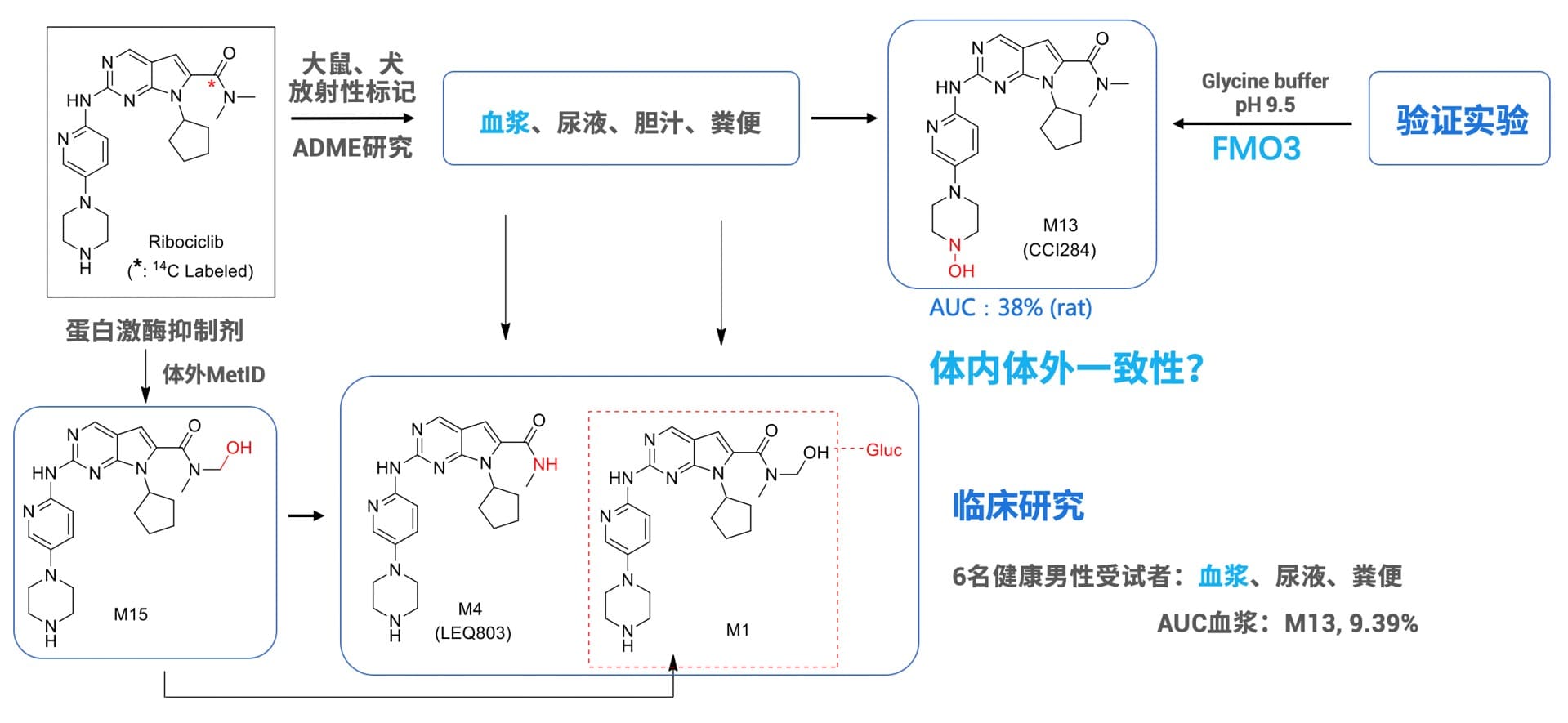 瑞博西尼代谢产物研究