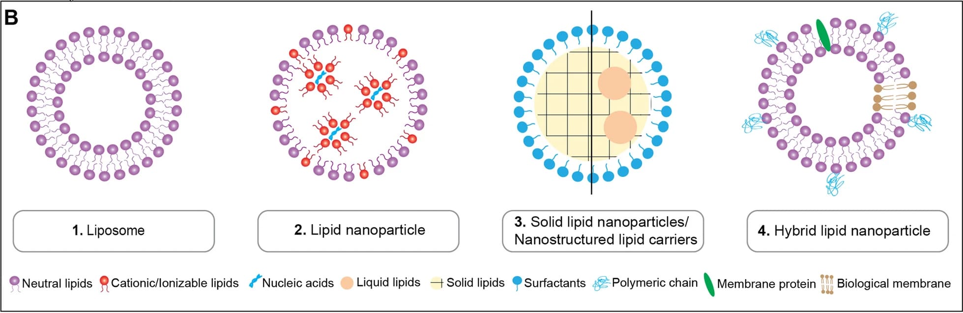 Classification of lipid-based nanocarrier systems