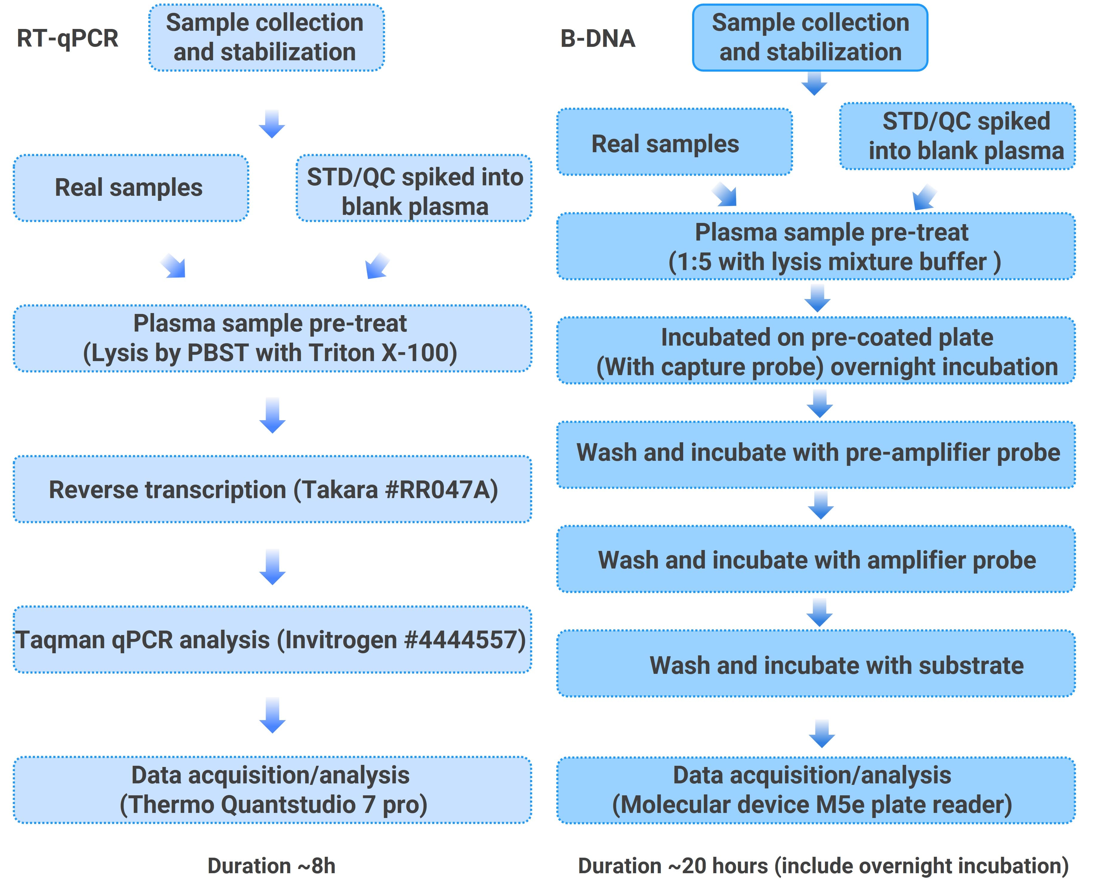 Experimental workflows for quantifying LNP-mRNA (EGFP mRNA) in plasma using RT-qPCR and bDNA methods