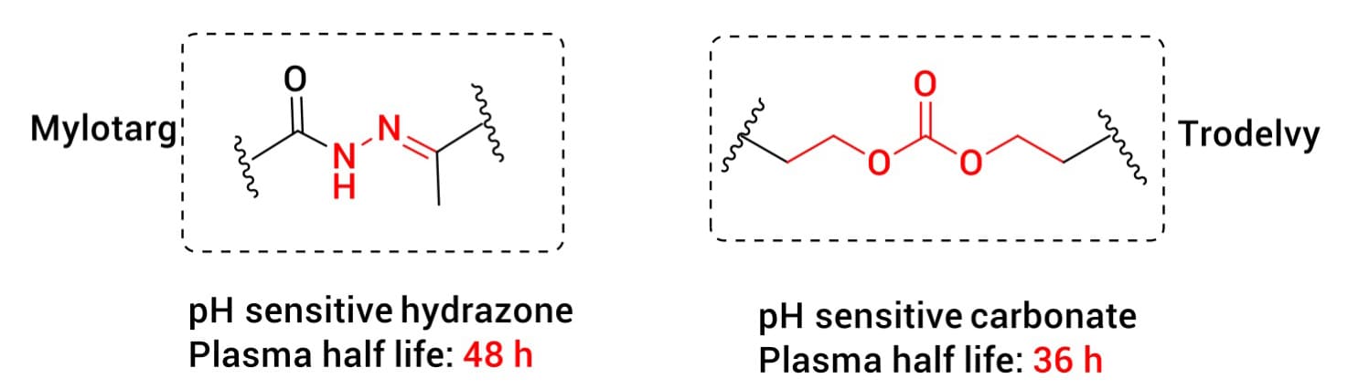 Acid-cleavable linkers Acid-cleavable linkers