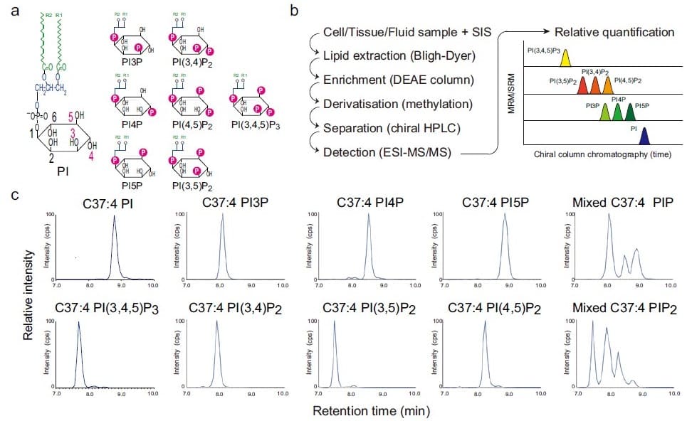 磷酸肌醇位置异构体的示意图和色谱图