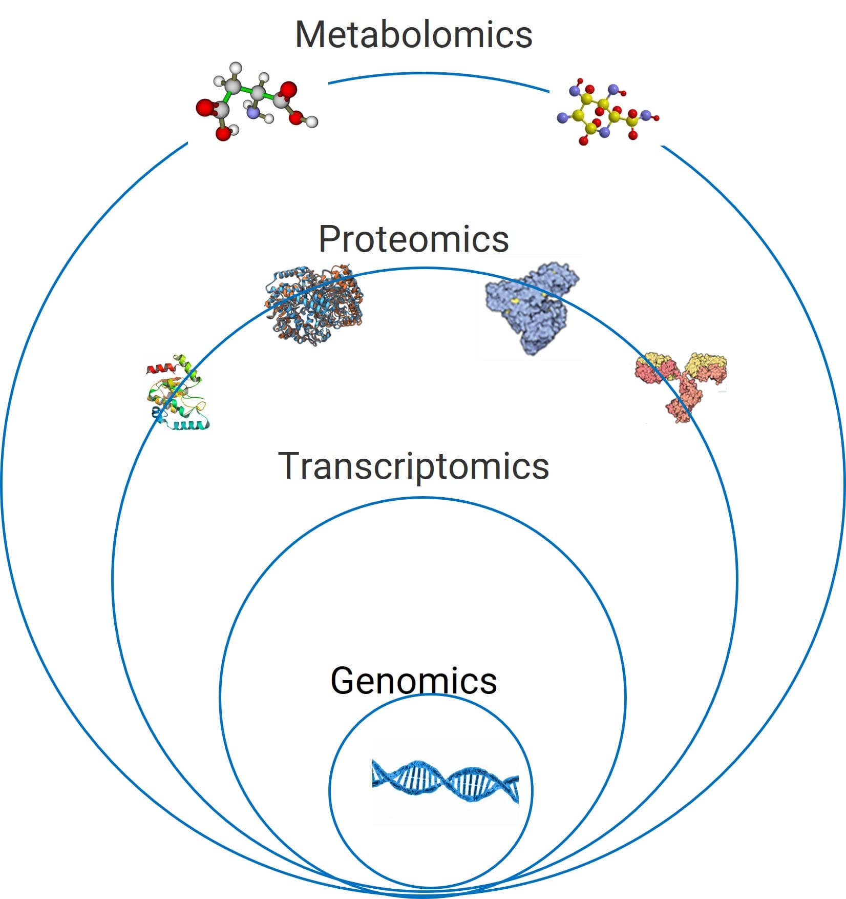 Interrelationships among omics in biological research