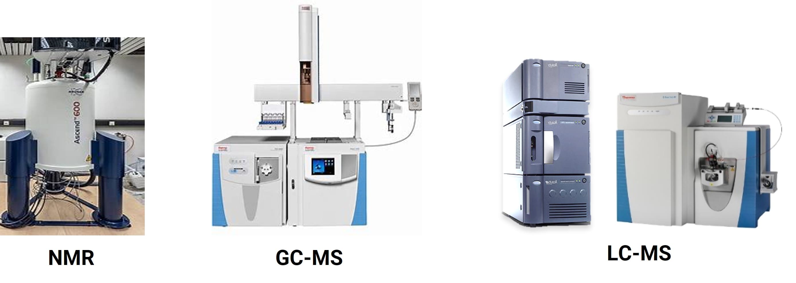 Metabolomics analysis platforms: NMR, GC-MS, and LC-MS