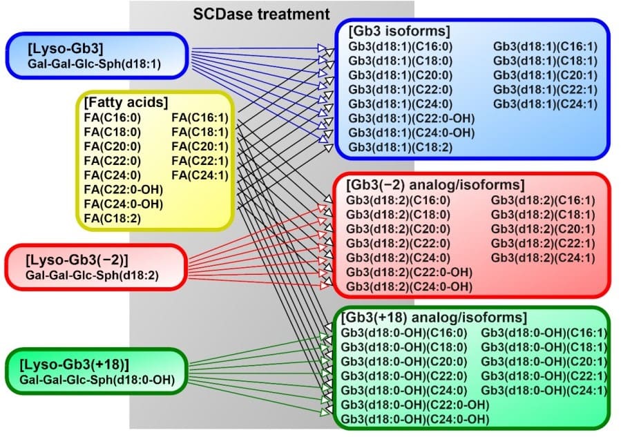 Gb3 isoform compounds and Gb3 homolog Gb3(-2), Gb3(+18) isoform compounds