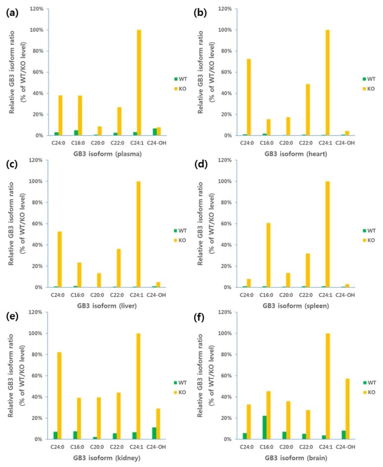 Comparison of Gb3 series compounds in normal and model animal organs