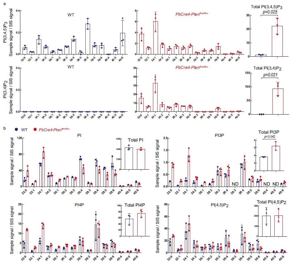 Distribution of different fatty acyl phosphoinositide regioisomers in animal tissues