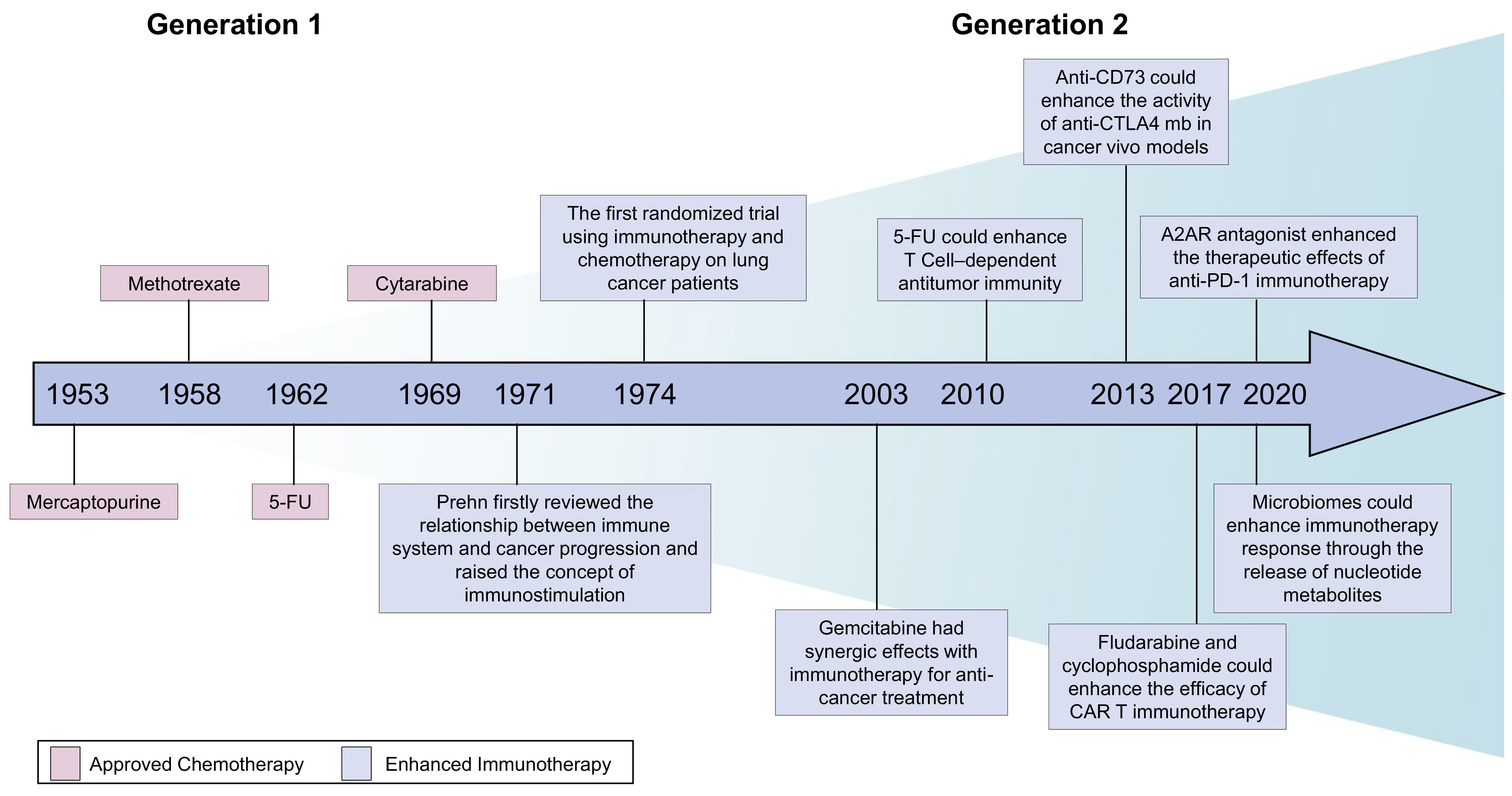 靶向核苷酸代谢在癌症治疗中的历史发展与突破 靶向核苷酸代谢在癌症治疗中的历史发展与突破