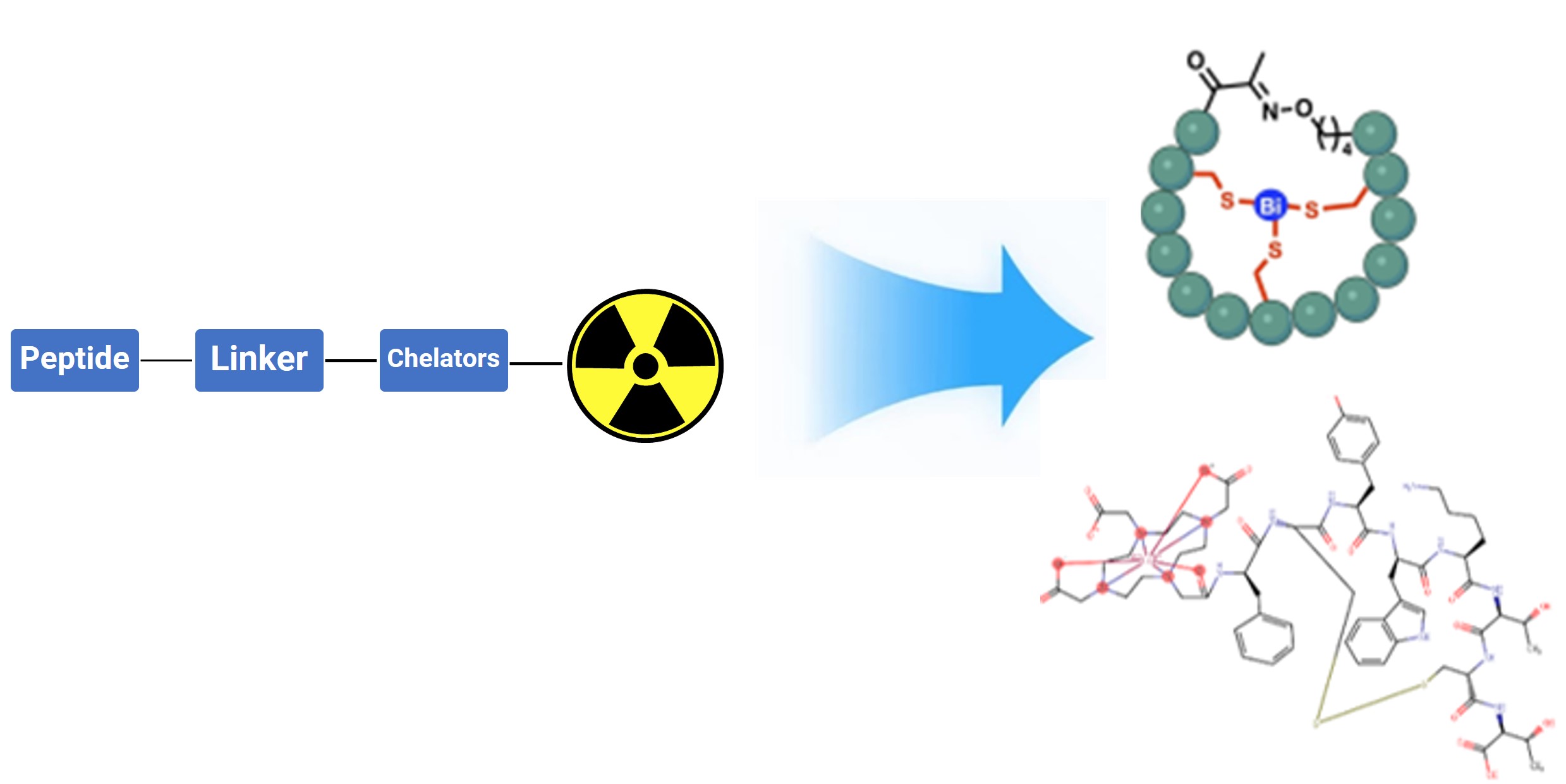 Structural example of a peptide receptor radionuclide therapies (PRRTs) or diagnostic PRCs