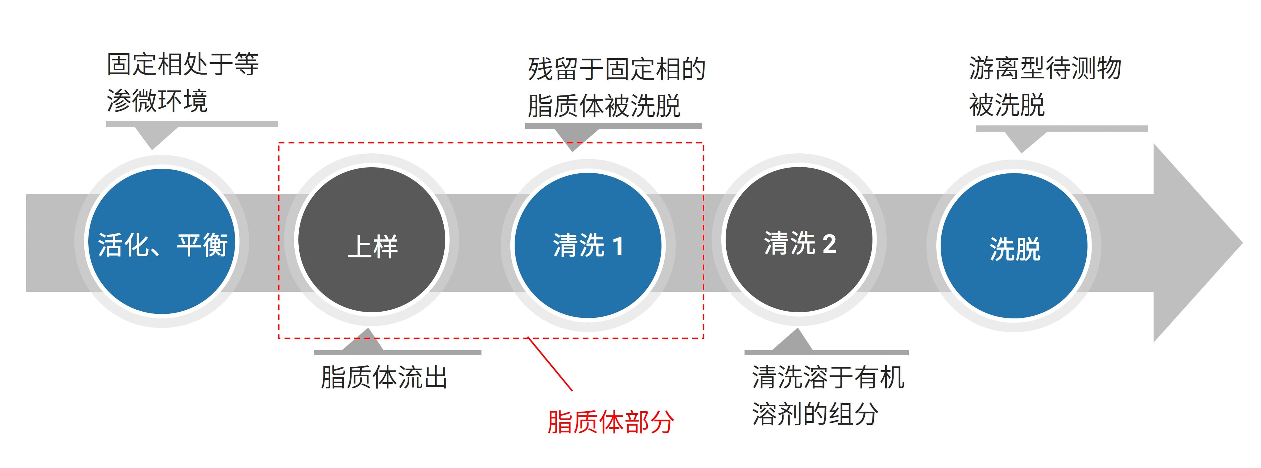 SPE的一般流程 SPE的一般流程