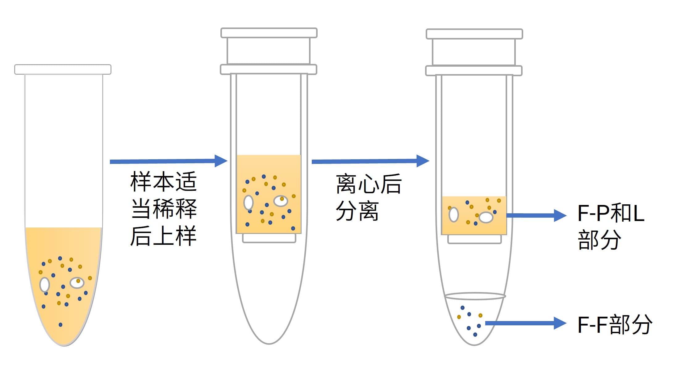 超滤法的一般流程 超滤法的一般流程