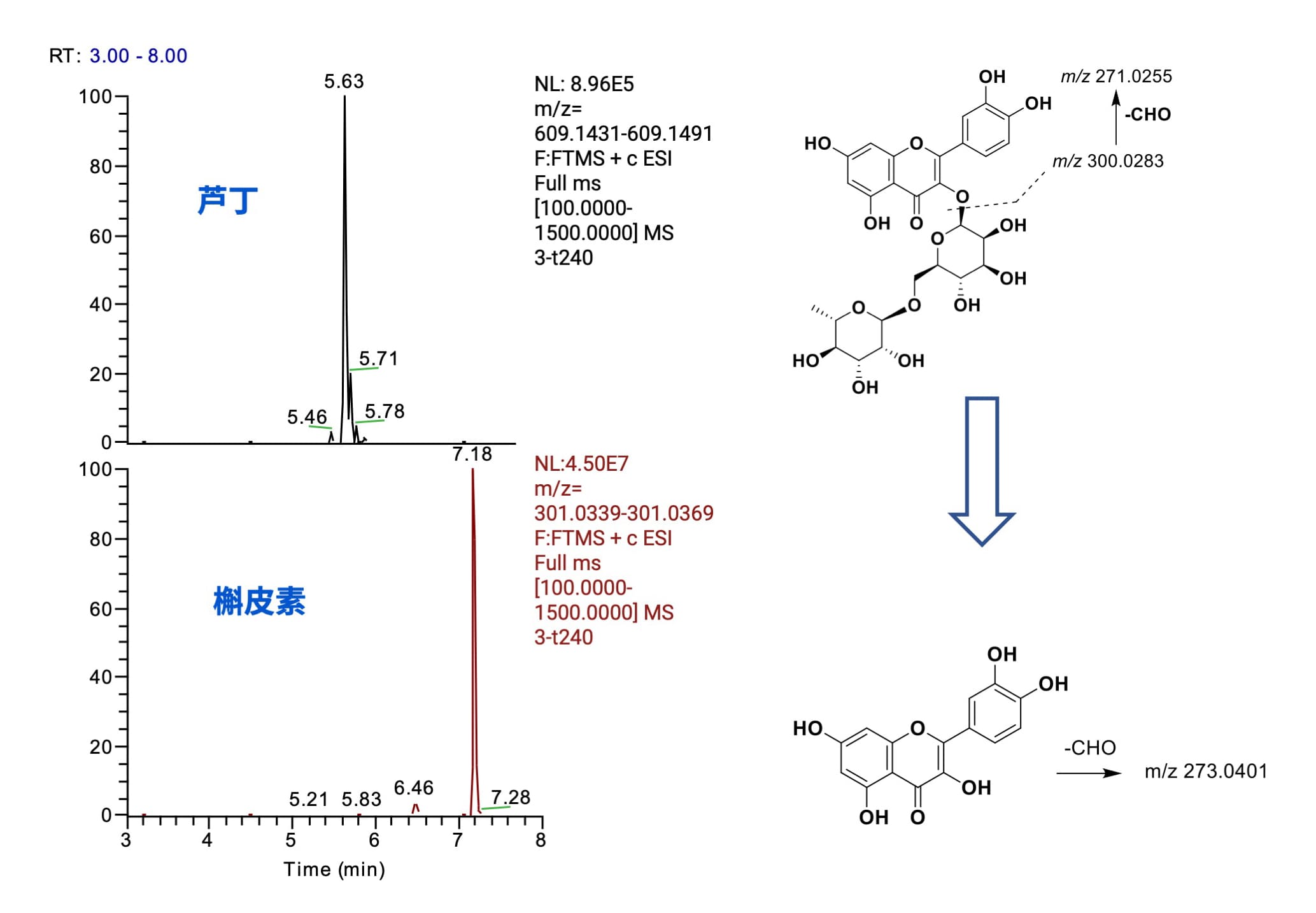芦丁提取离子图及代谢途径