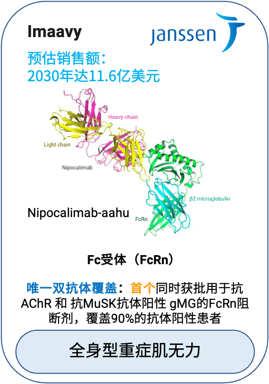 Imaavy（nipocalimab-aahu）