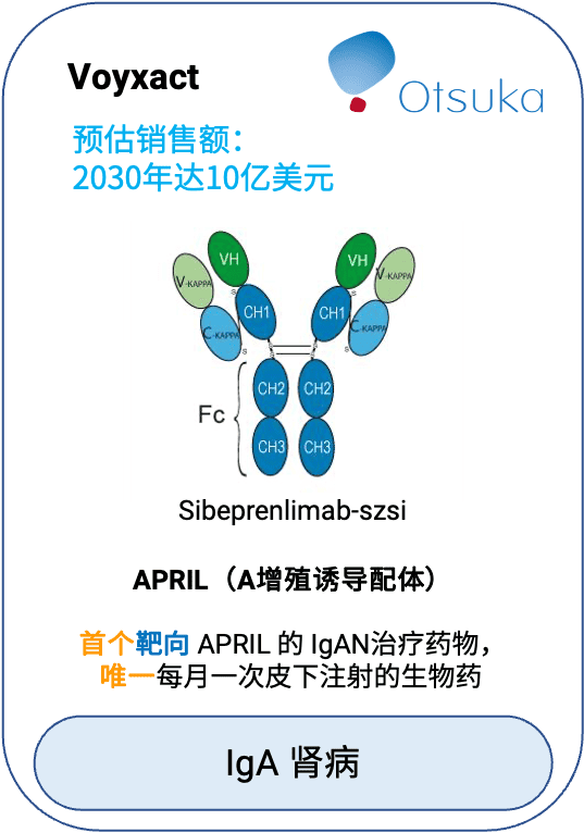 Voyxact（sibeprenlimab-szsi）