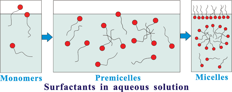 Mechanism of surfactant micelle formation