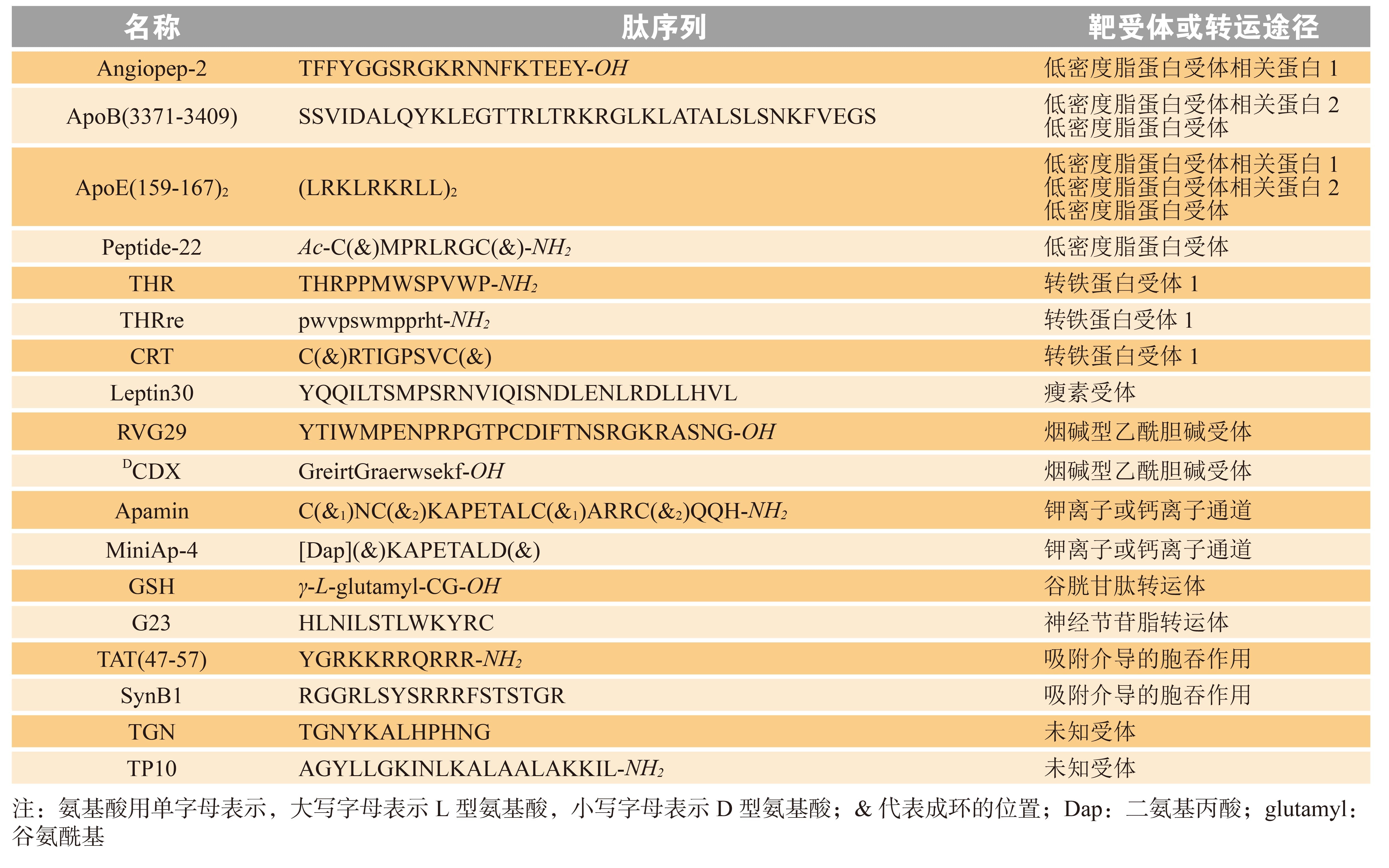 具有代表性的血脑屏障穿膜肽