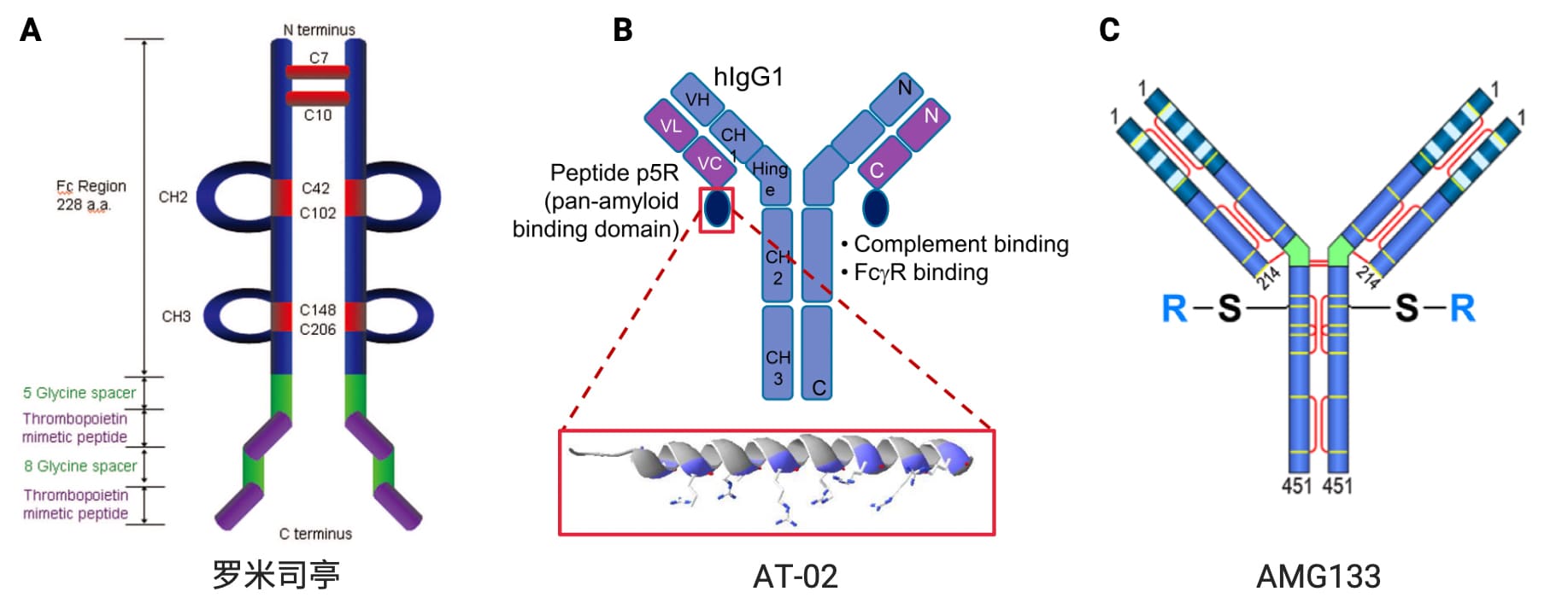 TPO拟肽类药物罗米司亭、泛淀粉样蛋白去除 (pan-amyloid removal,PAR) 候选药物AT-02和减肥药AMG133结构 TPO拟肽类药物罗米司亭、泛淀粉样蛋白去除 (pan-amyloid removal,PAR) 候选药物AT-02和减肥药AMG133结构