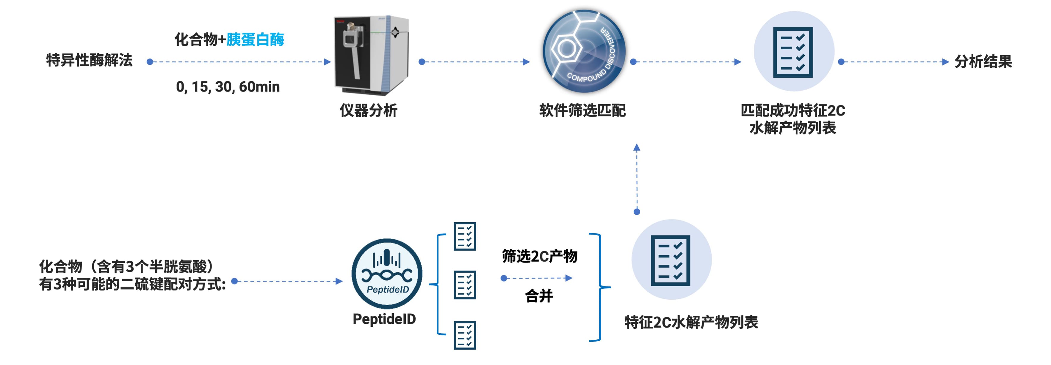 酶解法表征多肽二硫键的数据处理流程