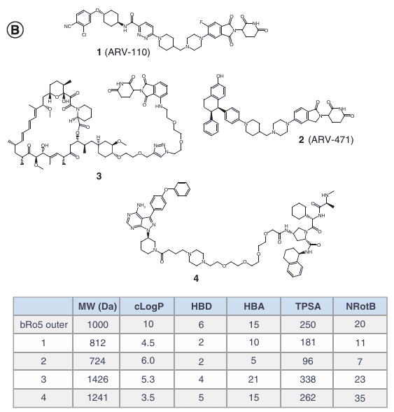 Structure and physicochemical properties of ARV-110, ARV-471 and other two PROTAC molecules