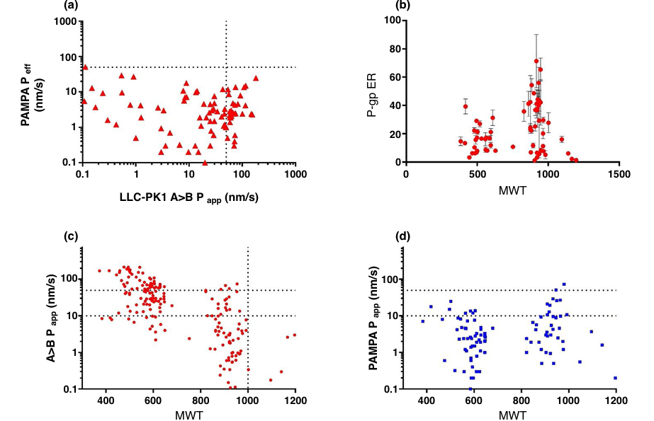 Molecular weight and permeability of PROTAC